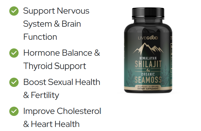 Himalayan Shilajit Himalayan Shilajit