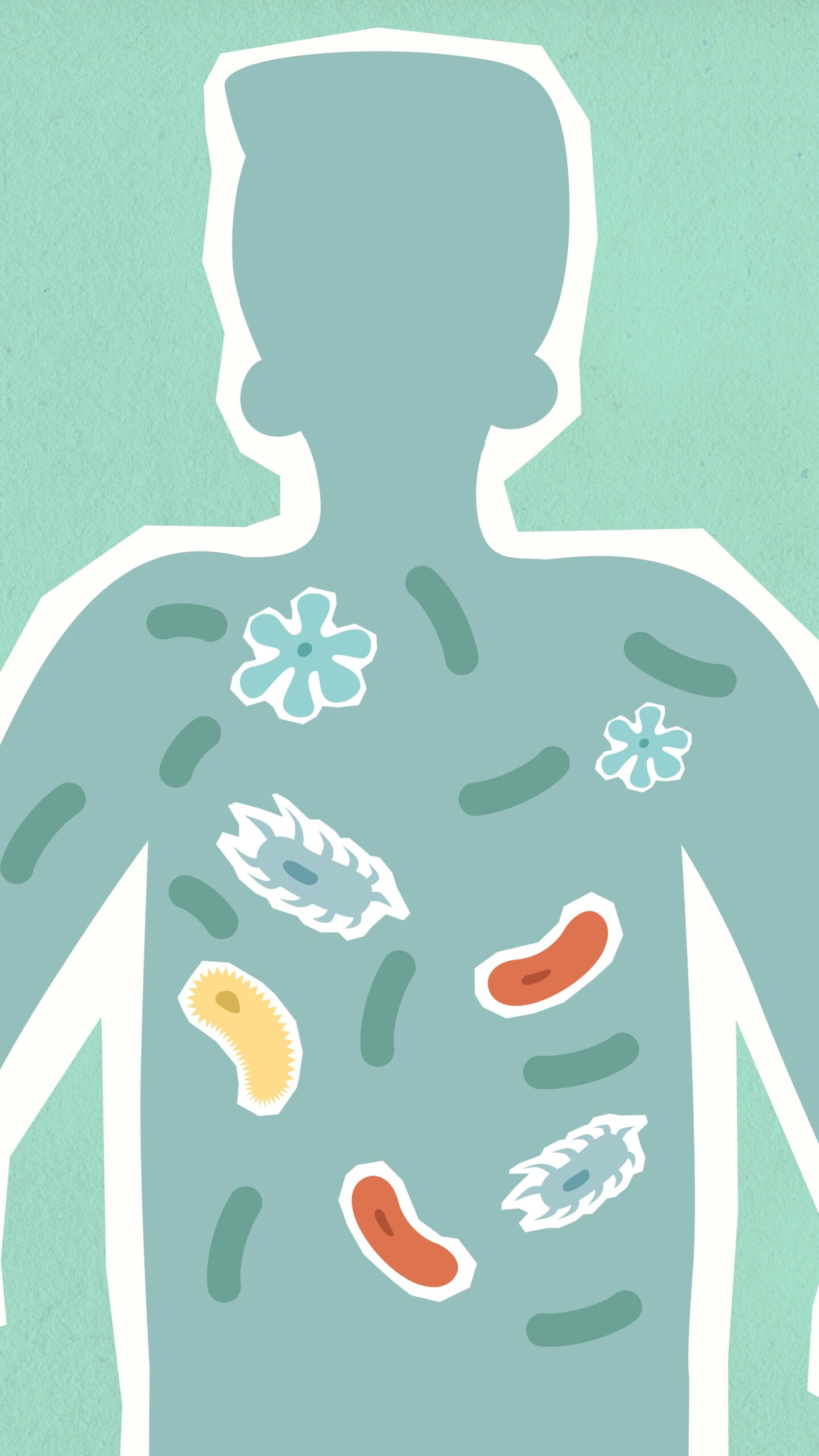Livegood supplements for immunity. Immune system Immune system